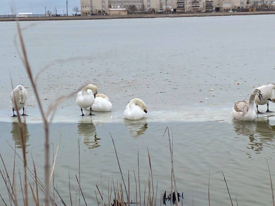 ��� ��������� ���� ������ � ����� � ���������?