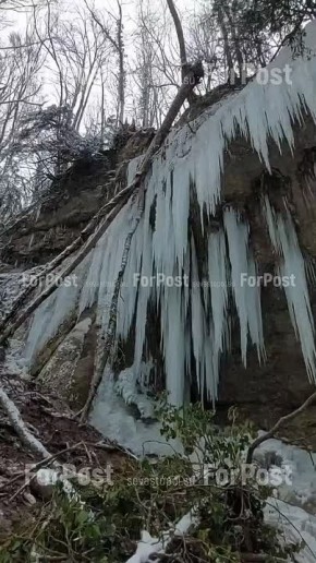 ������� ��������� �������: ������� ������� ������ � �������� ��� ���