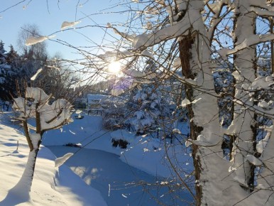 ������� ������ � ����� �� 19 ������