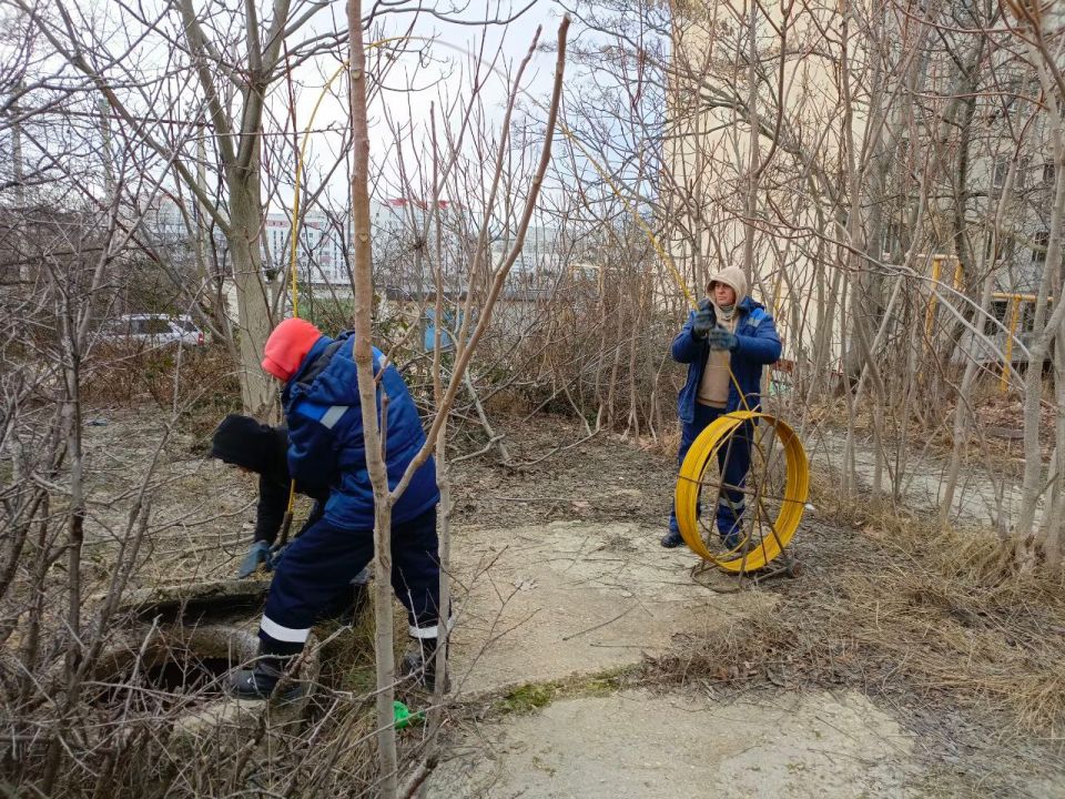 ���������: ������� �������. ���������� ������� �� ��. ����������