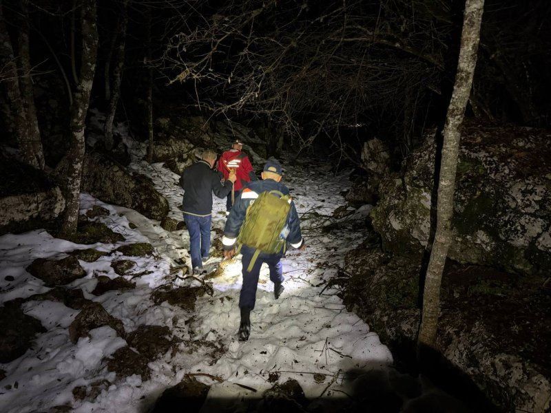 ��������� ����������� ������� ������������ ��������, ������������� � �����-������ ���������