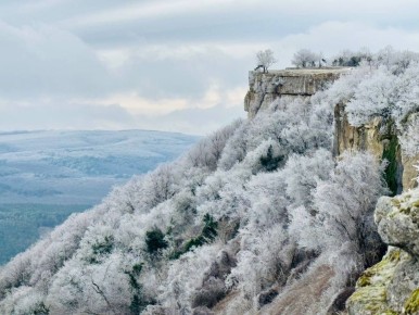 "�� ������ �����:" ���������� ����������� ��������� ������� � ���� ����������