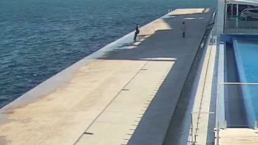 � ����������� �������� ������ ���������, �������� � ���� �� ����������