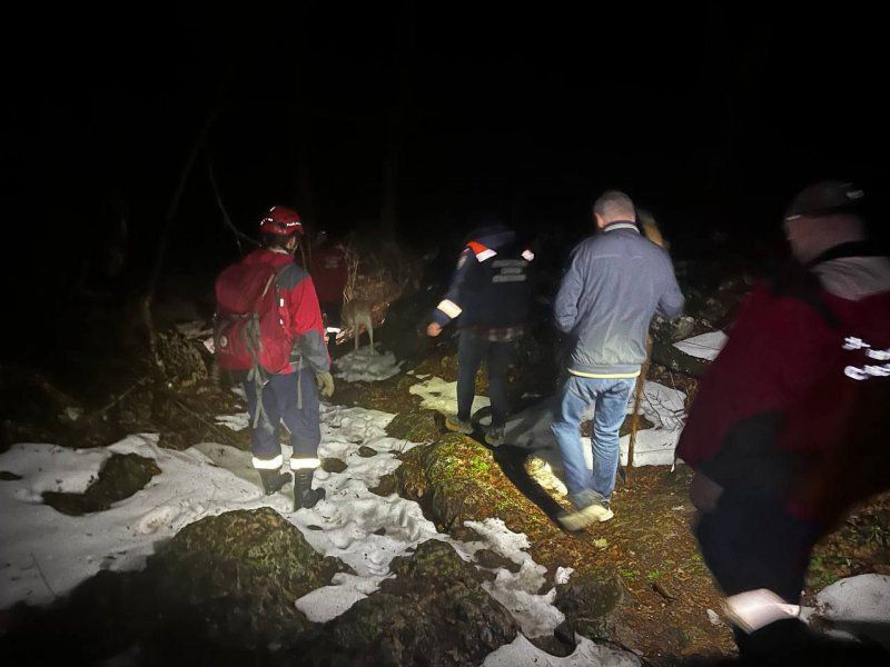 ��������� ����������� ������� ������������ ��������, ������������� � �����-������ ���������