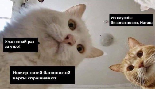 �� ��� ��� ������������� �������� ���������� ����� 2,3 �������� ������