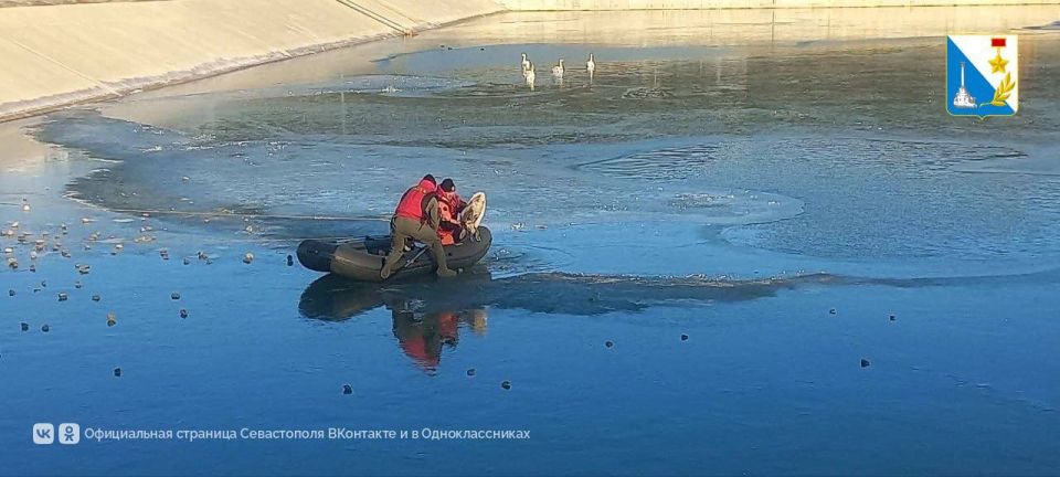 ��������������� ��������� ���������� ������� � �������, ������� �������� �� ���� �� ����������� ����������