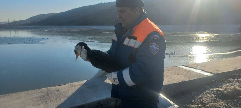 �� ����������� ���������� ������ ���������� �� ���� ����