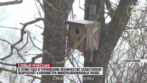 �� ������� ����� � � ����� ��������: ��� ���������� ������� ����������� �����?