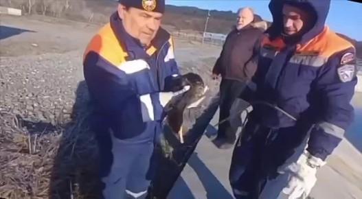 �� ����������� ���������� ������ ���������� �� ���� ����