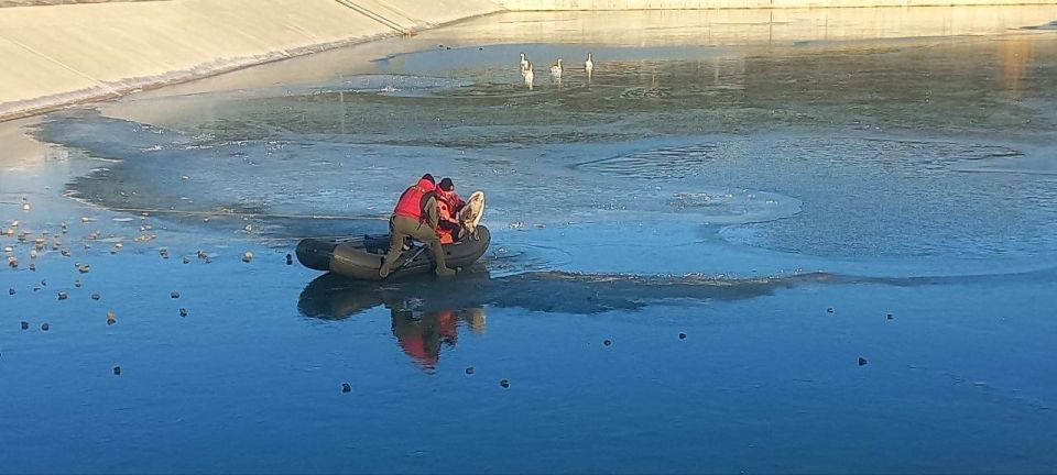 �� ����������� ���������� ������ ���������� �� ���� ����