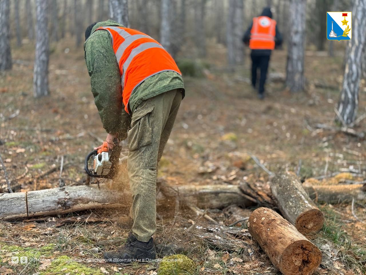 В Мекензевском лесничестве убирают сухую древесину В Мекензевском лесничестве убирают сухую древесину