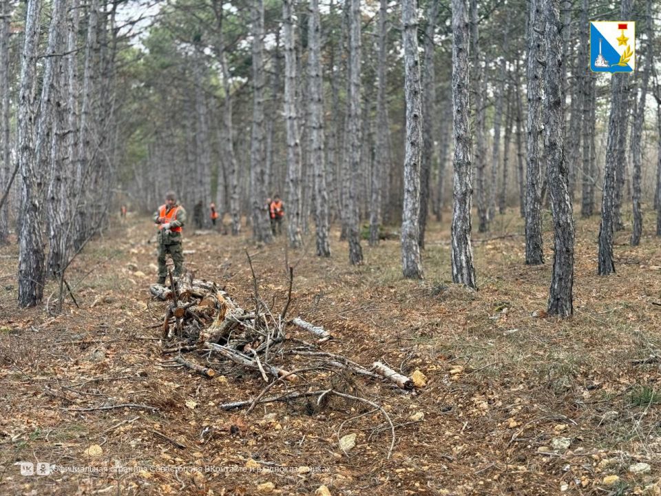 � ������������ ����������� ������� ����� ���������