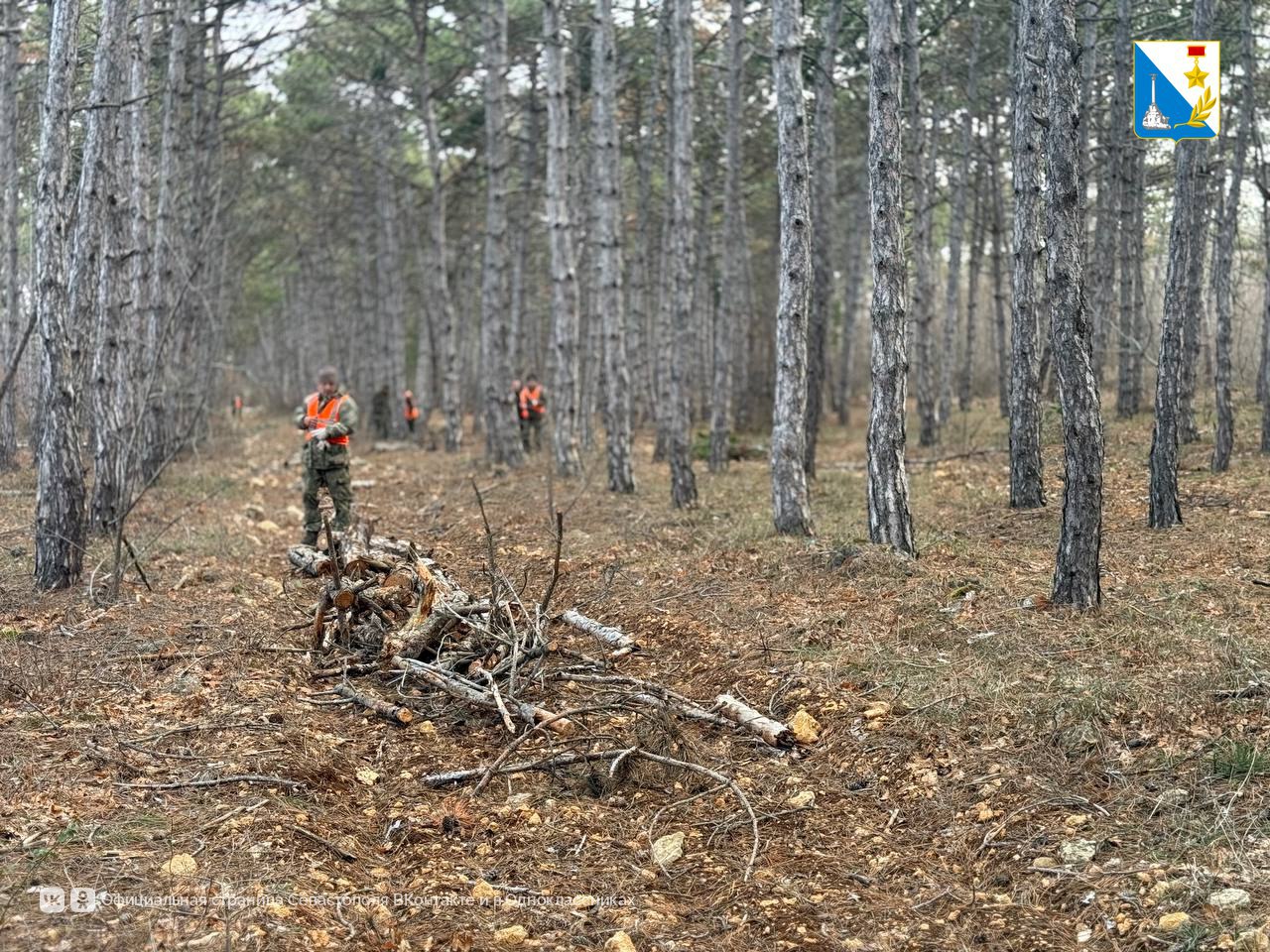 В Мекензевском лесничестве убирают сухую древесину В Мекензевском лесничестве убирают сухую древесину