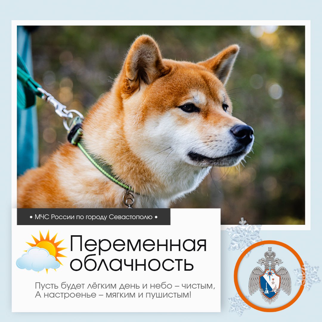 Доброе утро, Севастополь!. По данным гидрометцентра, 22 января в Севастополе будет переменная облачность