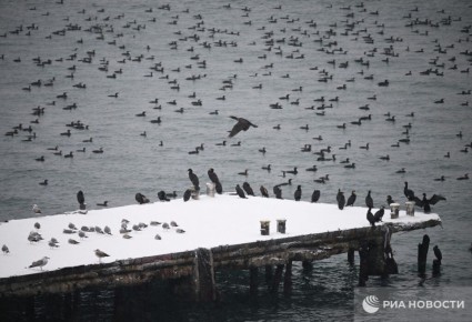 ������� ������ � ����� �� �������