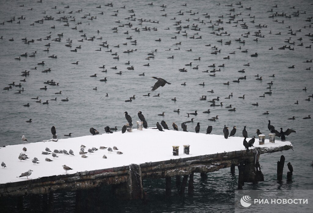 Прогноз погоды в Крыму на четверг