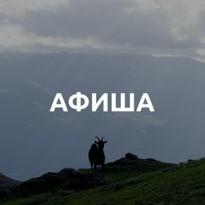 Народная примета — если в вашу ленту прилетел этот пост, то выходные: