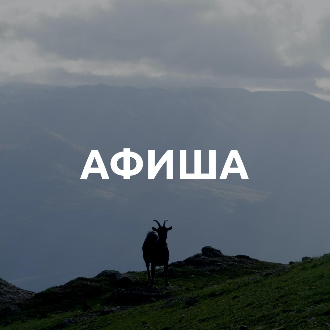 Народная примета — если в вашу ленту прилетел этот пост, то выходные: