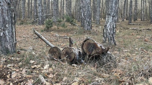 6 �������� ���� �������� �� ����������� ���������