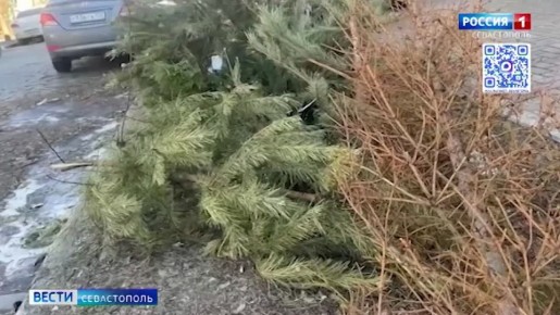 ����������� ����������: � ����������� ����������� ������ ����� ����� ����