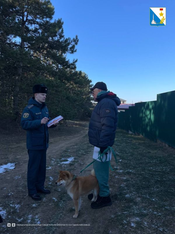 �� �������� � ��������������� ����� ��������� ������ ����������� �����������, ���, ������� � ����������