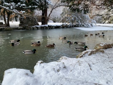 ������� ������ � ����� �� 23 ������