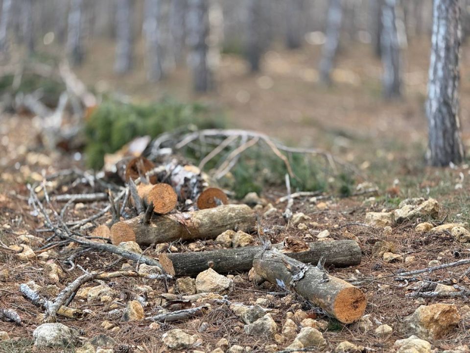 ������ ��������. ����������� �������� ���� � ������� ��������� ��������� ���� �� ����������� ���������: ��������, ����� �����, ���������