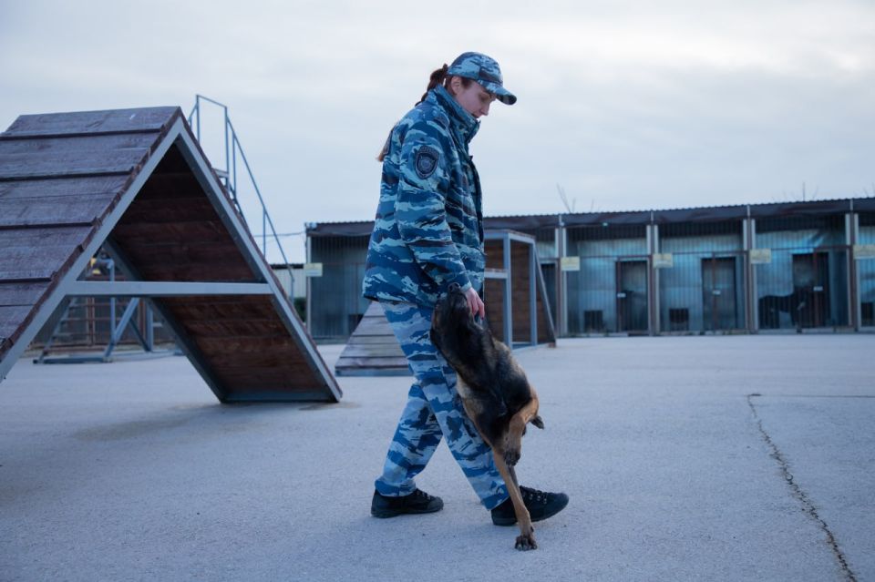 �������� �������. ����� ������: ������������ ��������� ��������������� �������