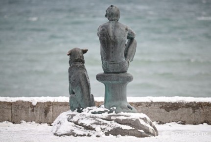 ������� ������ � ����� �� �������