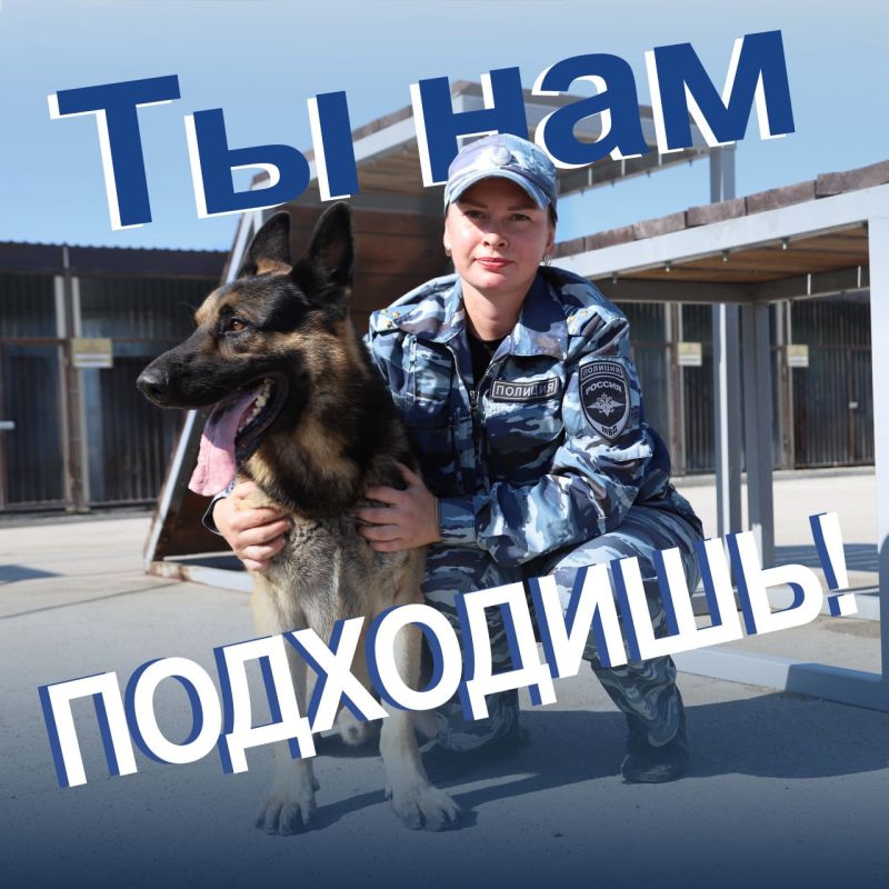 �������������� ������ ���� ������ �� �. ����������� ���������� �� ������ ���������� (��������) �� ����� �� ���������� ��������