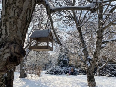 ������� ������ � ����� �� 24 ������