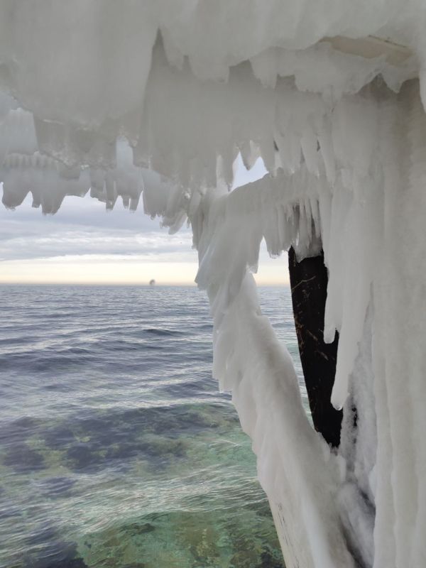 ������� ����, ������!. � ����������� ���� ��������� �����