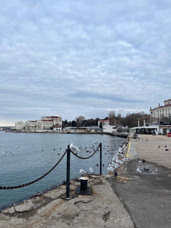 ������ �� 25 ������ :