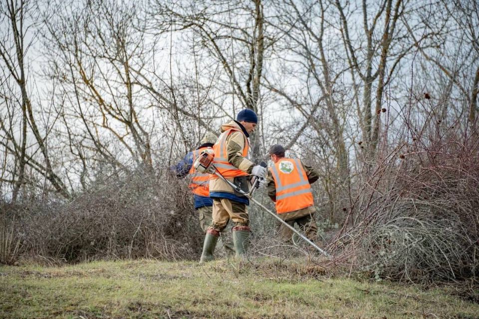 �� ������������ ����������� ����������� �������� �������� ������