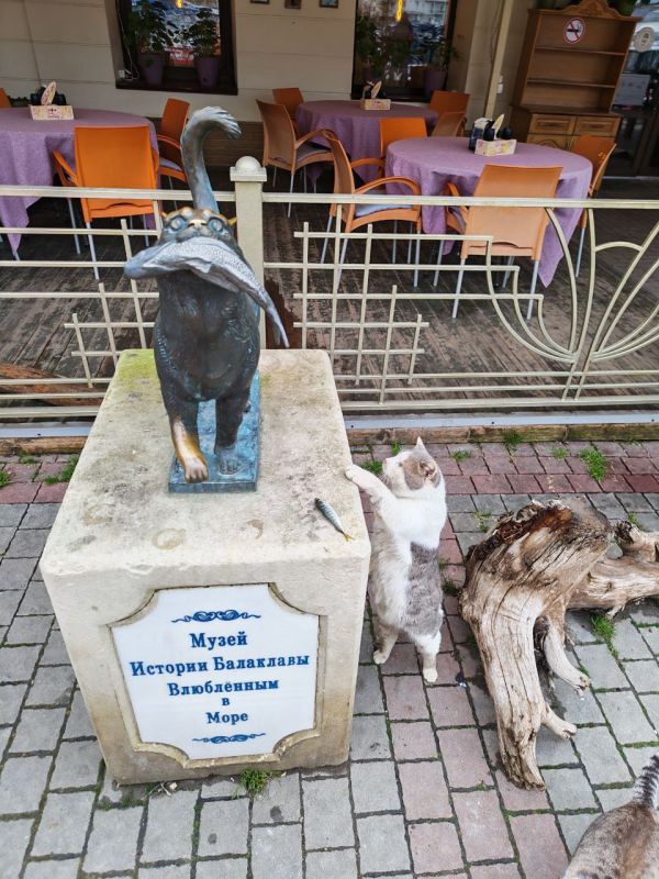 � ������ �����, ������!. � ����������� ����� ��������� �����, ���� ��� ������������ �������