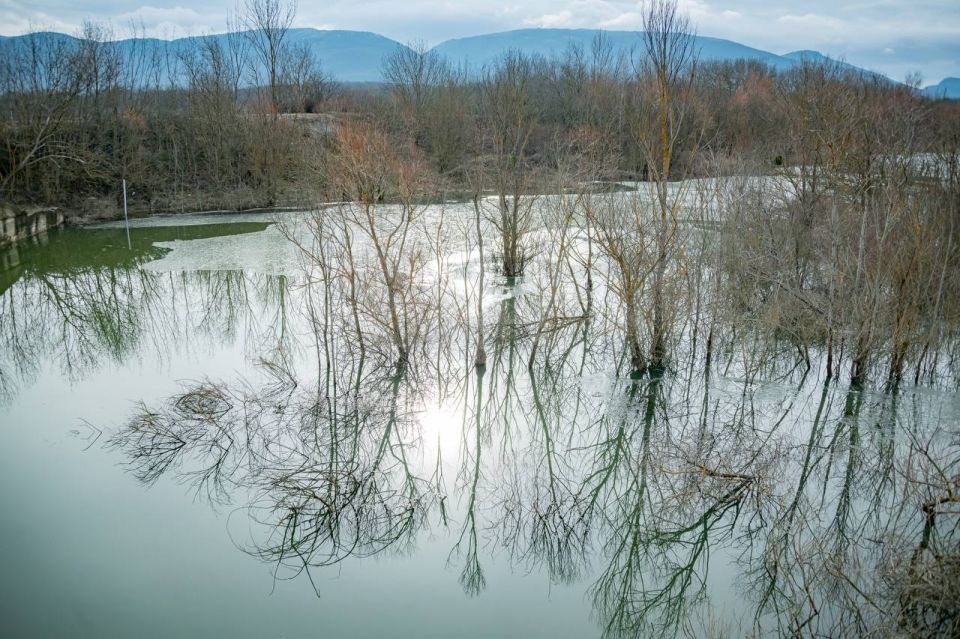 �� ������������ ����������� ����������� �������� �������� ������