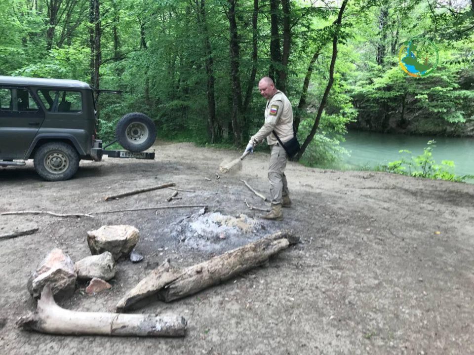 ���� ����������������. ���� ������� - ������ � ������� ���������