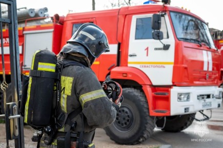 ���������� ���� �������� ��������� ��������� ���������� �����