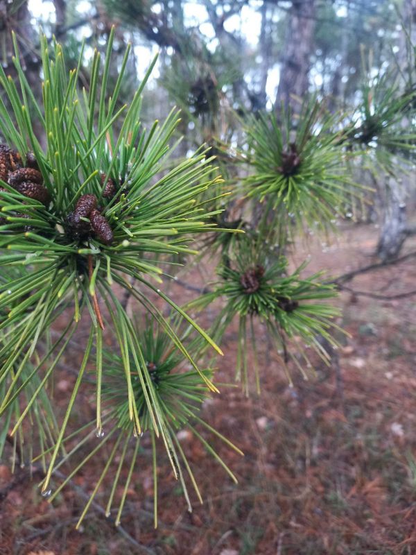 � ������ �����, ������! � ����������� ������� ����� ��-��������� �����