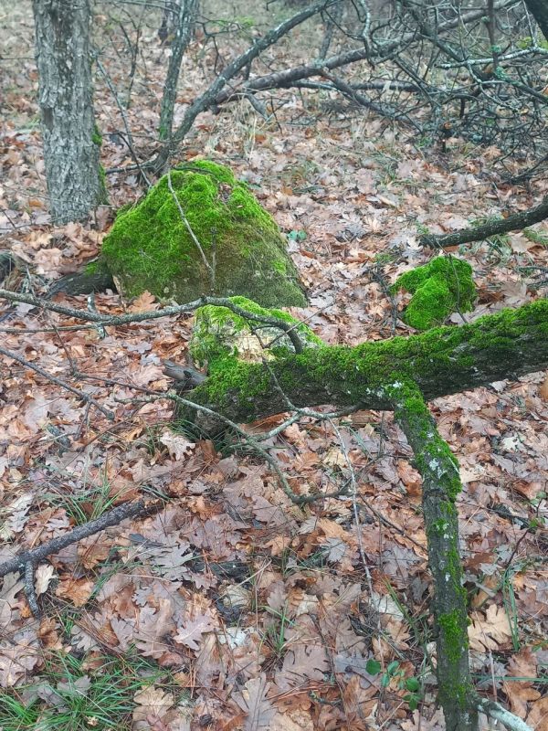 � ������ �����, ������! � ����������� ������� ����� ��-��������� �����