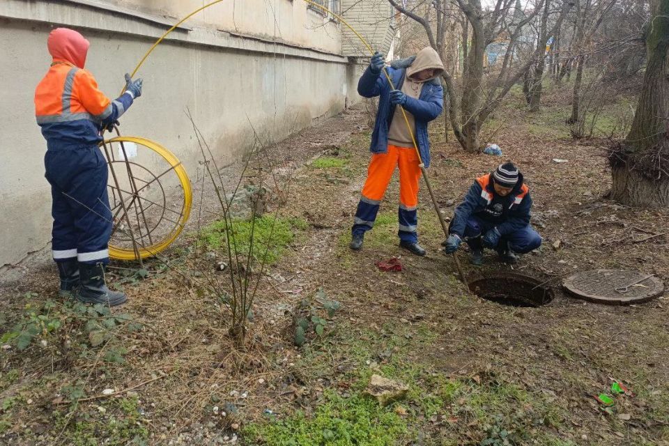 ���������: ������� �������. ���������� ������� �� ��. �. ������, ��. ����������, ��. ��������, ��. ��������� ���� ������� �������