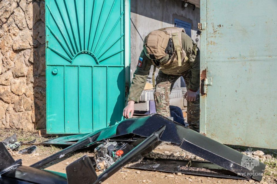 ����������� ����������� ����������� � ��� �� �������� � �����������