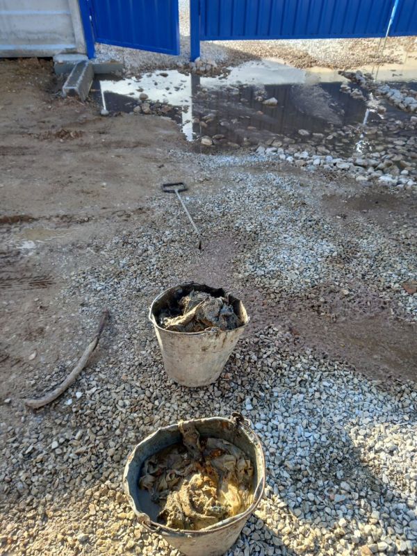 ������� �4 ������ ������������� ���� "���������" ��������� ����� ������� �� ��.���������