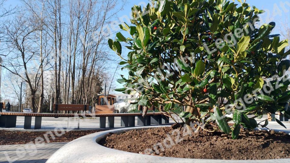 65 ������������ ����������� ������������� � ����������� �� 6 ���