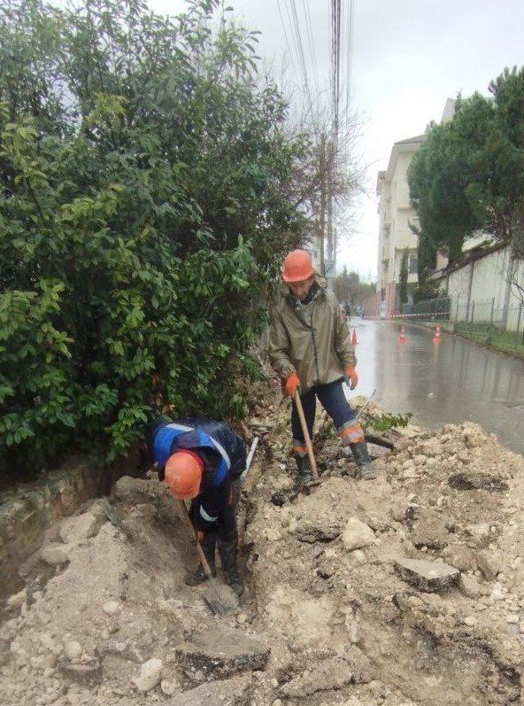 ���������: ������� �������. ��������-����������������� ������ �� ����� �������������