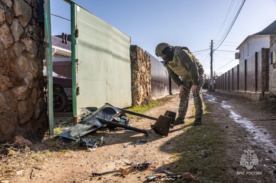 ����������� ����������� ����������� � ��� �� �������� � �����������