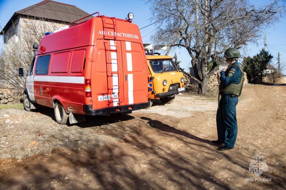 ����������� ����������� ����������� � ��� �� �������� � �����������