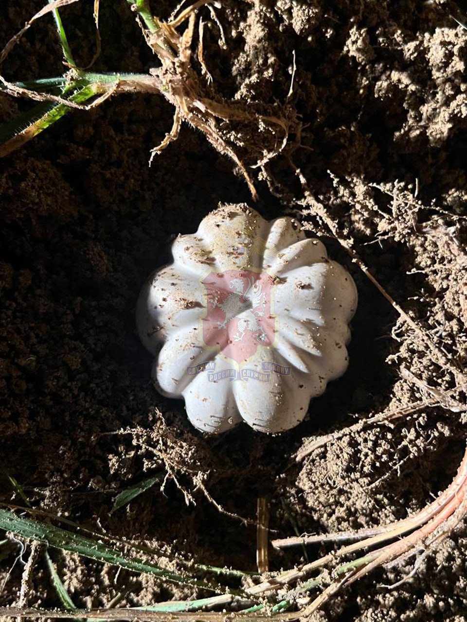 Севастопольские оперативники задержали местного жителя, подозреваемого в покушении на сбыт синтетики в особо крупном размере Севастопольские оперативники задержали местного жителя, подозреваемого в покушении на сбыт синтетики в особо крупном размере