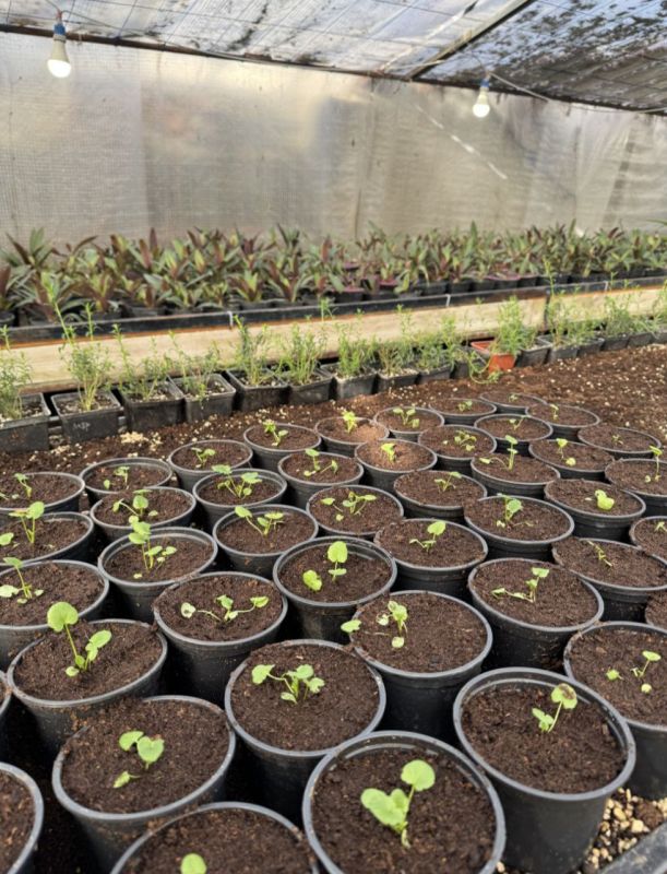 � �������� ������� � ������� ���������� � ����������� ������ ��������� �������