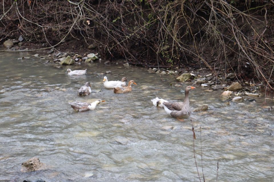 ������� ������ � ����� �� 29 ������